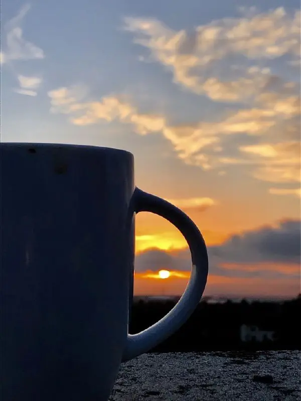 هَـرَبُـوا مِنَ الـرِقِّ الَّـذي خُـلِـقُـوا لَـهُ