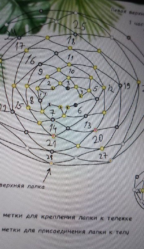 Сливы схем амигуруми