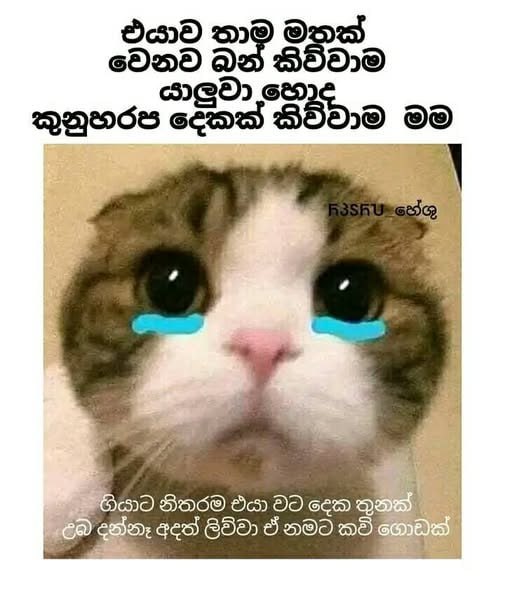 Memegram.Lk🇱🇰 ©