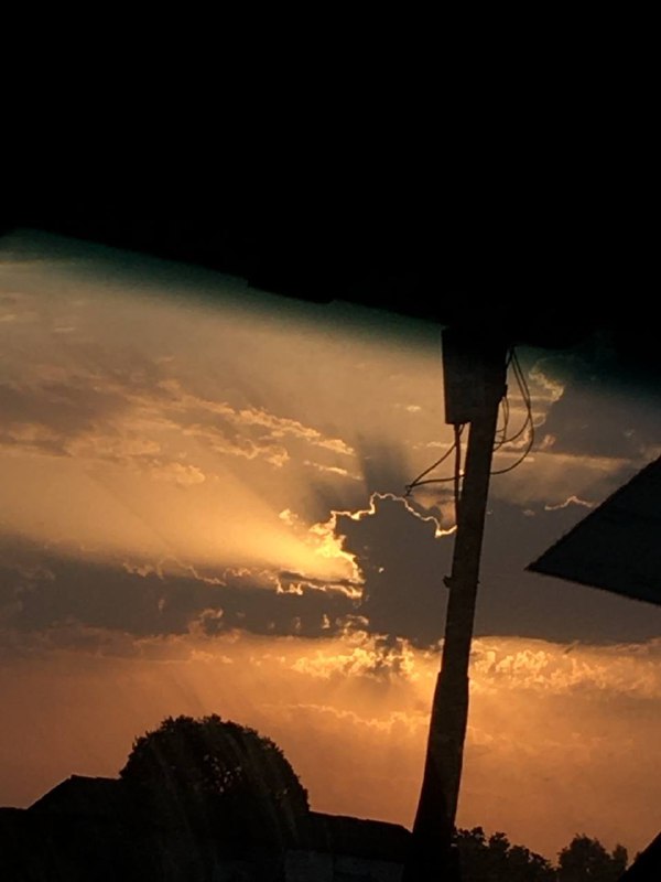 “گیـسوآنِ زخـمی