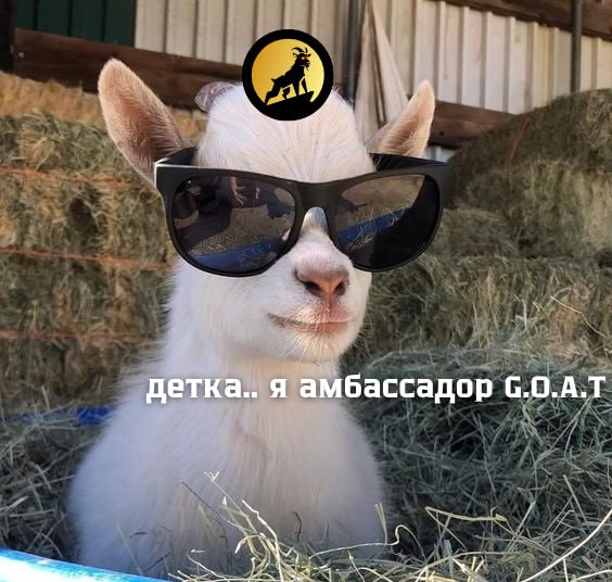 **Амбассадорская программа GOAT Network**