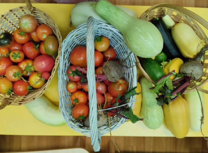 Еда без спешки (Slow Food Russia)