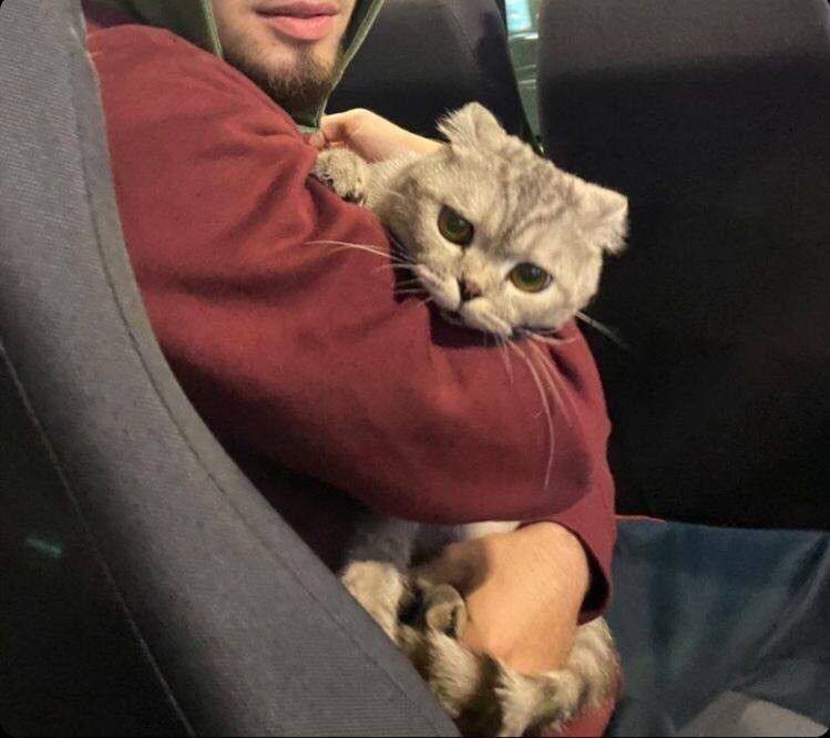 ʍыᴄᴧи ʙᴄᴧух ᥫ᭡