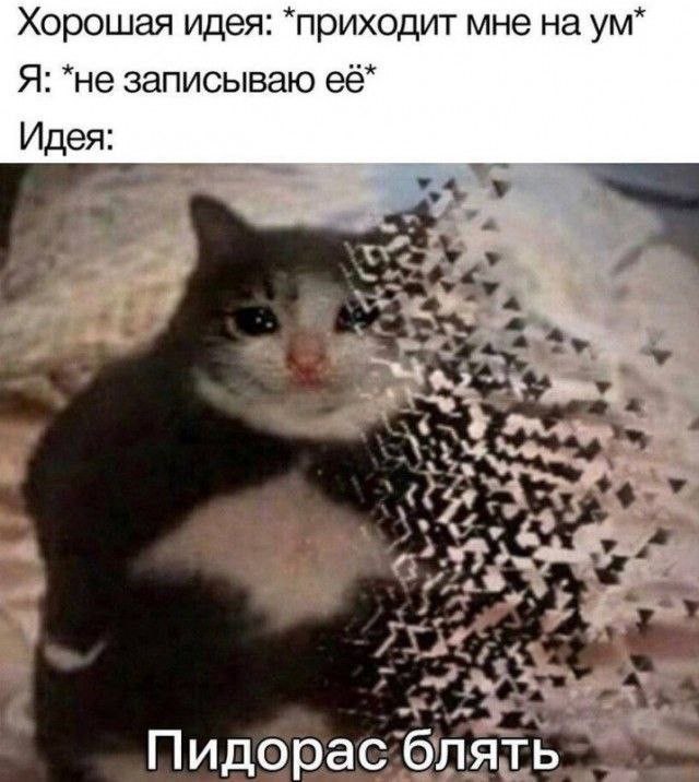 Смех и meh