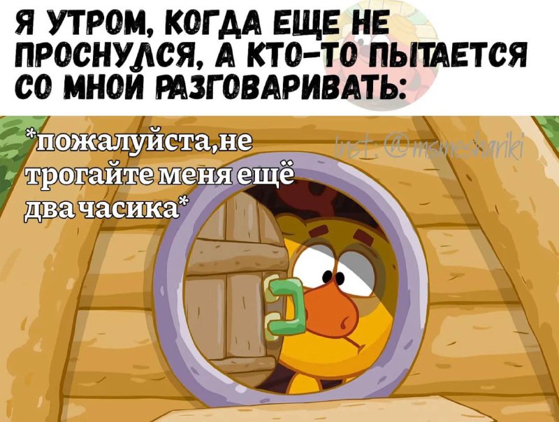 СМЕШАРИКИ НА КАЖДЫЙ ДЕНЬ