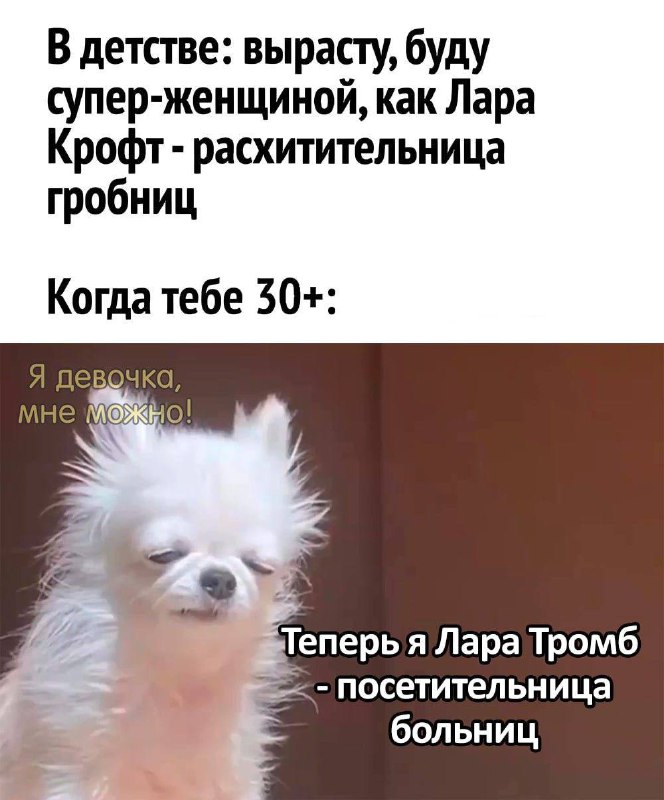 Приколы 😂 Анекдоты 😂 Мемы