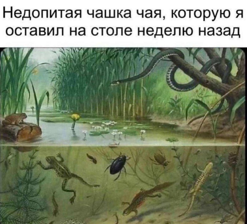 Юмор | Смешное | Мемы