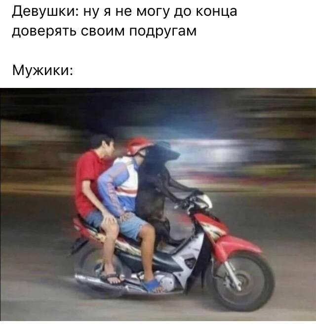 Юмор | Смешное | Мемы