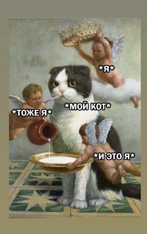 Юмор | Смешное | Мемы