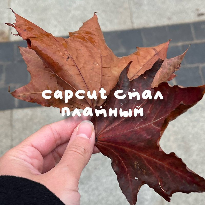 **CapCut стал платным**