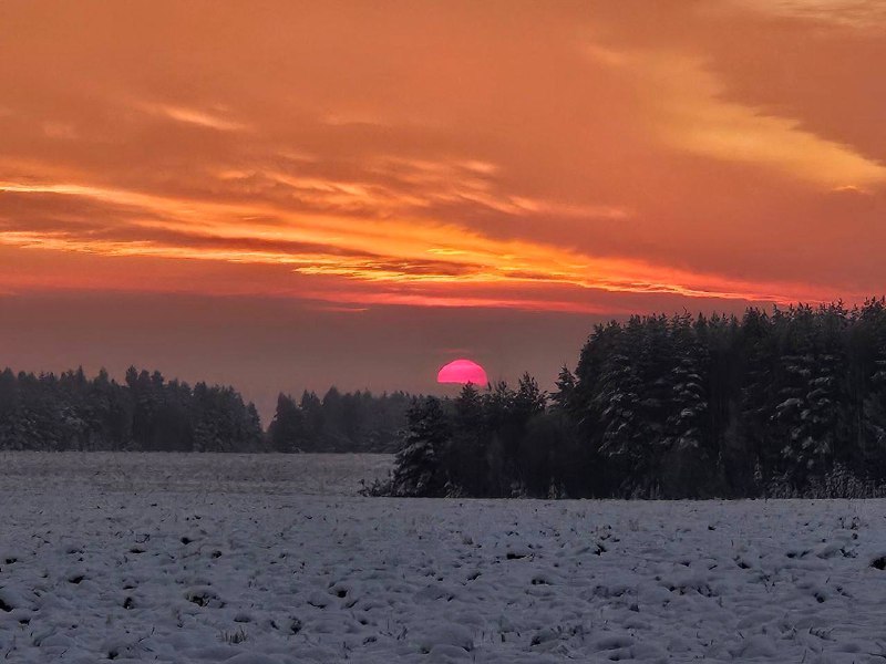 ***☀️*** ***🔥*** **Малиновое солнце**