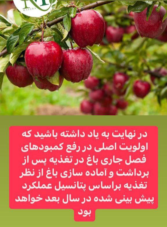 داروخانه گیاهپزشکی مهندس محمد علی پور