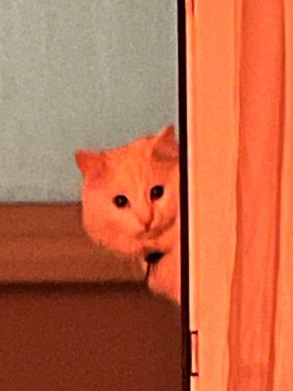 Creepy creepy boss***💀***