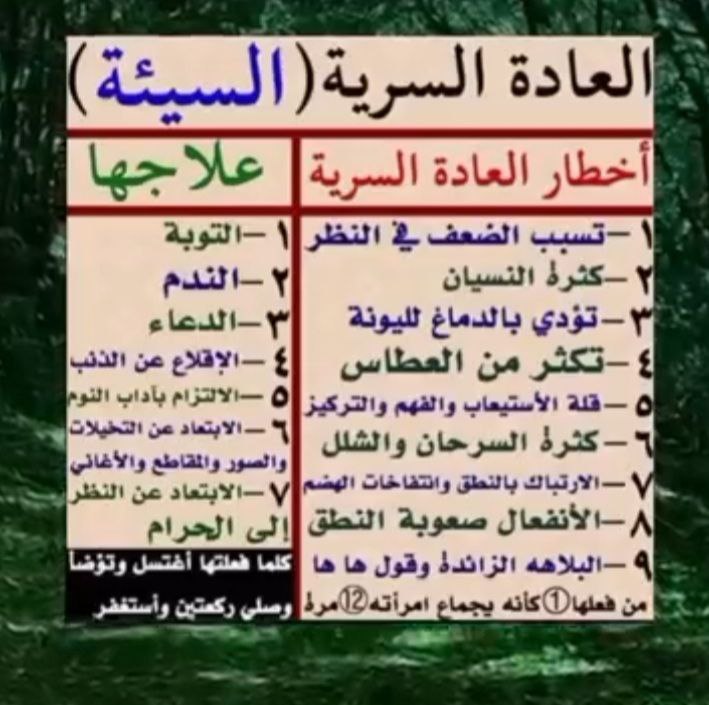 -***🌿***