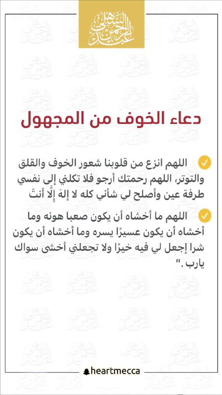 معلومات مفيده ومقاطع منوعة?