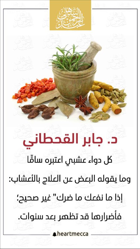 معلومات مفيده ومقاطع منوعة?