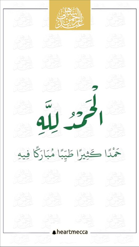 معلومات مفيده ومقاطع منوعة?