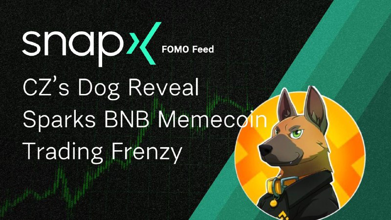 **CZ’s Dog Reveal** **Sparks BNB Memecoin** …