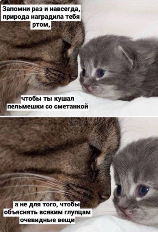 Спиздили