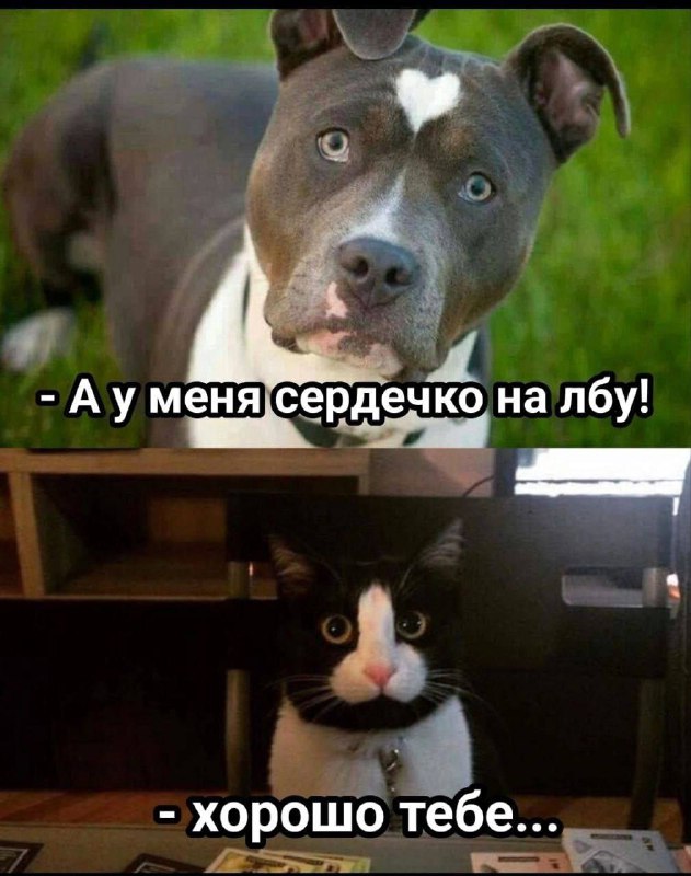 Спиздили