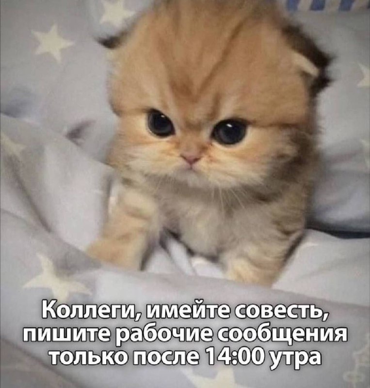 Спиздили