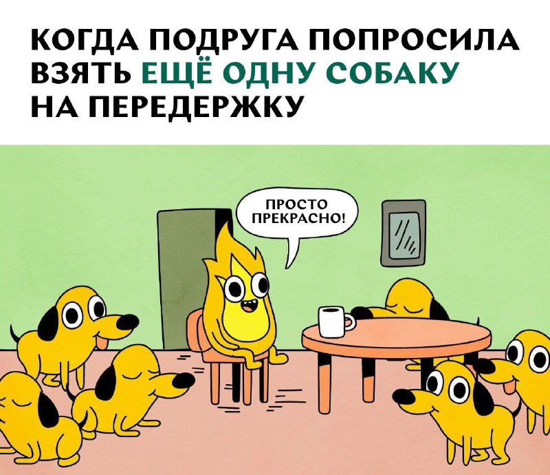 Собакошная