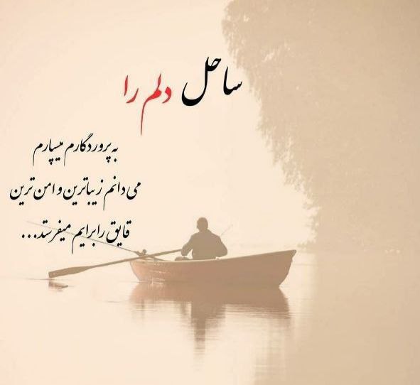 ساحل دلم را