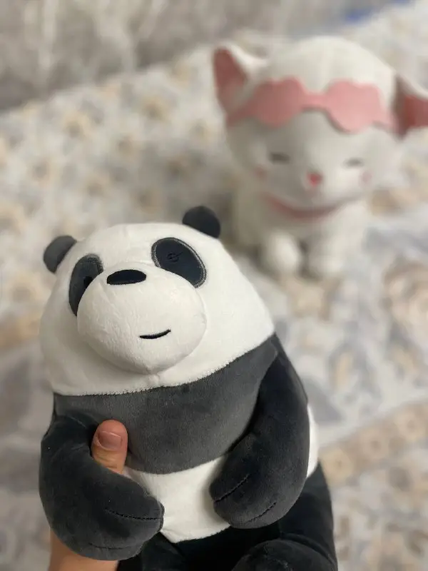 Miniso ***🐼***