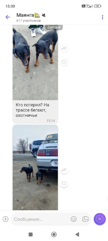 На трассе не далеко от города, …