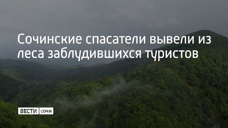 29-летний житель Московской области обратился за …