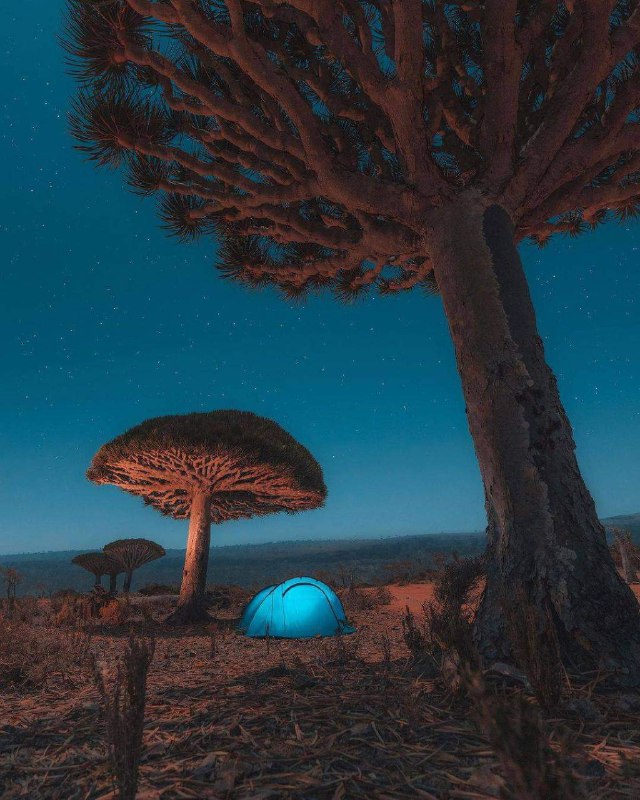 Beautiful evening from Socotra Island***❤️***