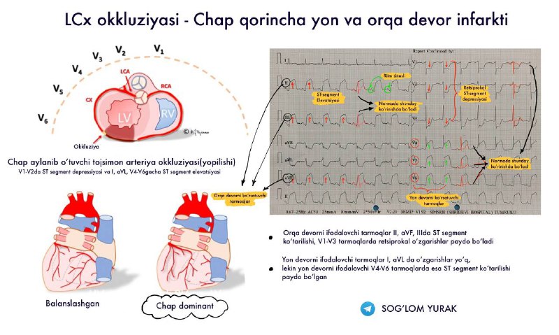Sog’lom Yurak Kardiologiya