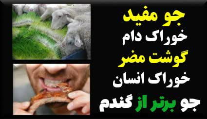 مشارکت مردم در حفظ امنیت غذایی …