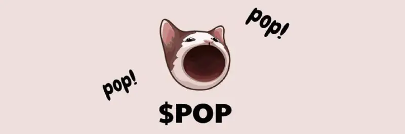 ***🚀*** **Popcat Buy!**
