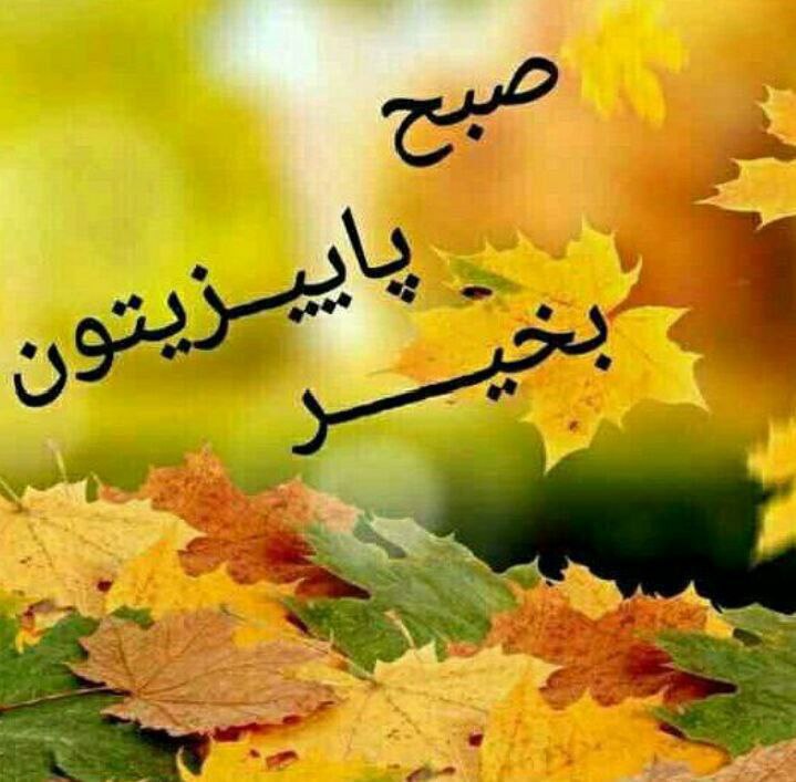 👫 سـُـلالهٔ بهشتـی👫