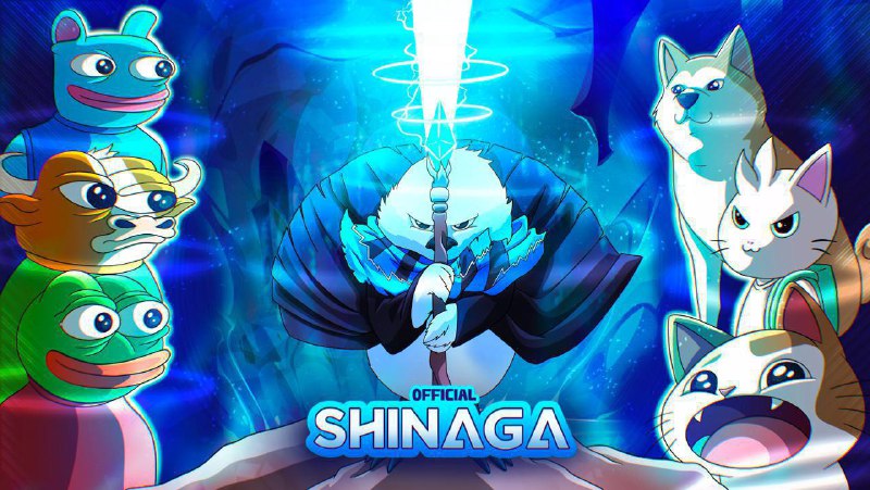 ProjectShinaga