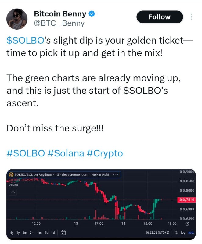 SolBoss - $SOLBO