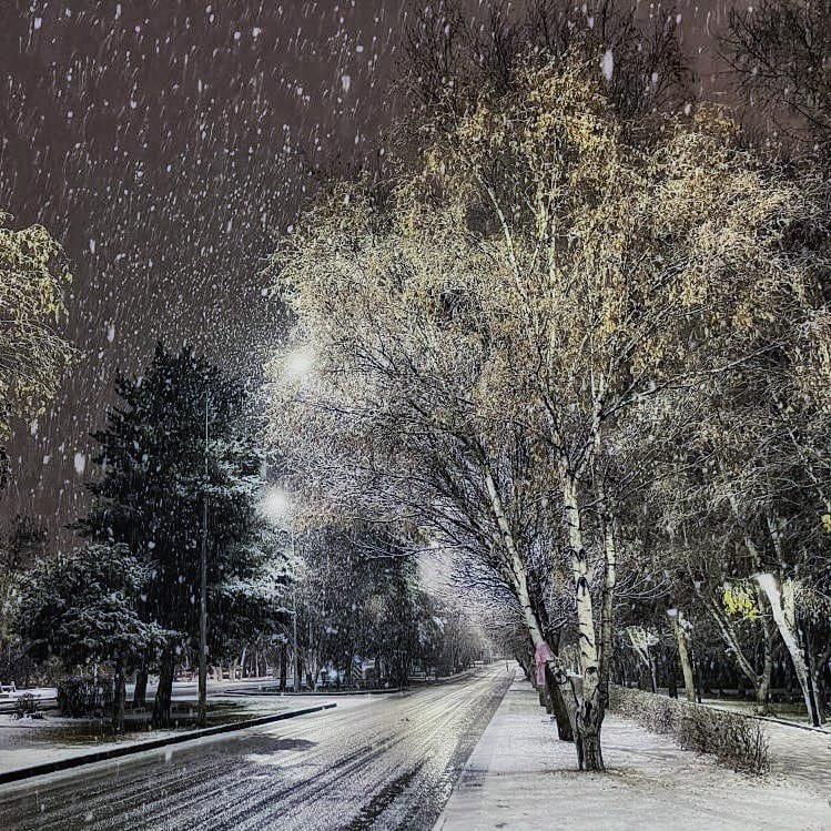 Erzurum'da etkili olan kar yağışı ile …