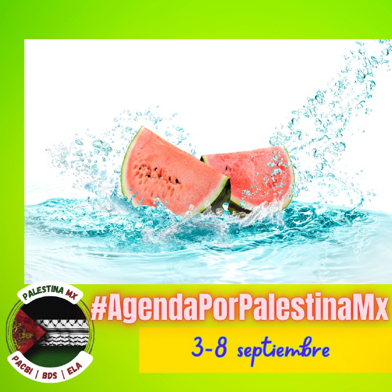 [#AgendaPorPalestina](?q=%23AgendaPorPalestina) no logramos subirla ayer, pero …