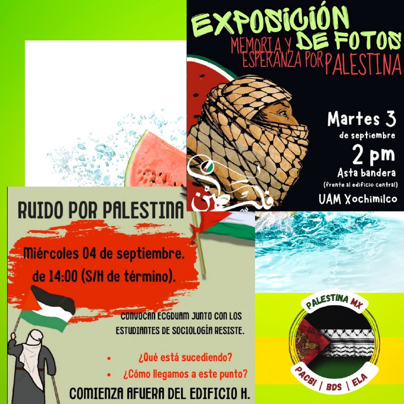 Palestina Mx | BDS • PACBI …