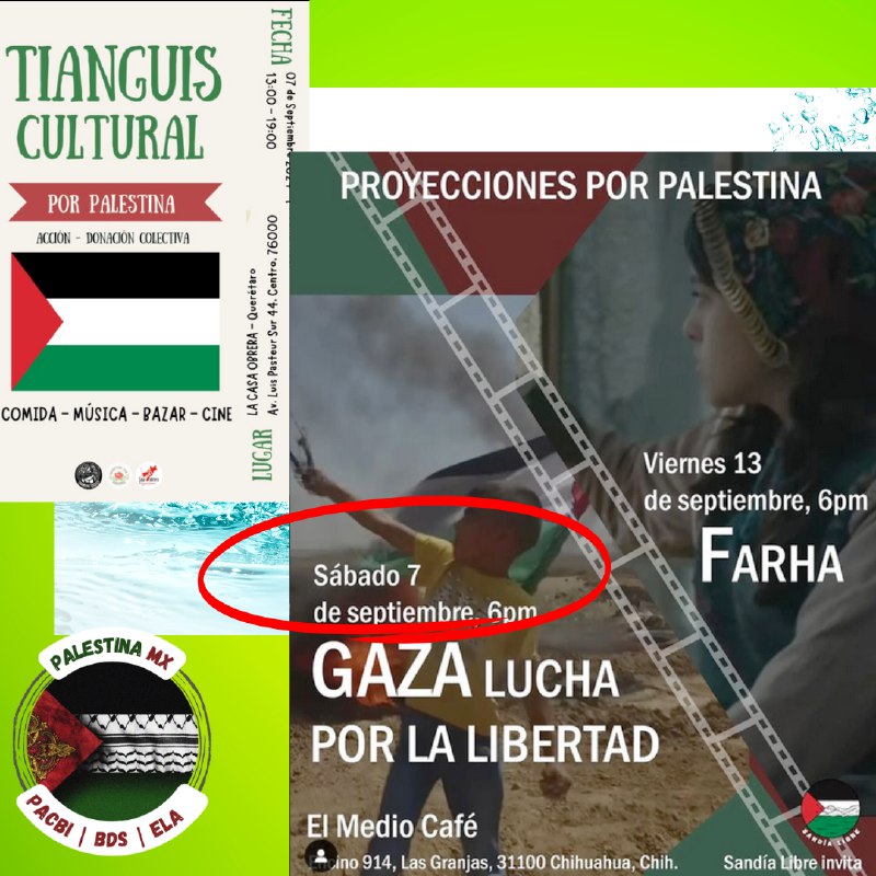 Palestina Mx | BDS • PACBI …