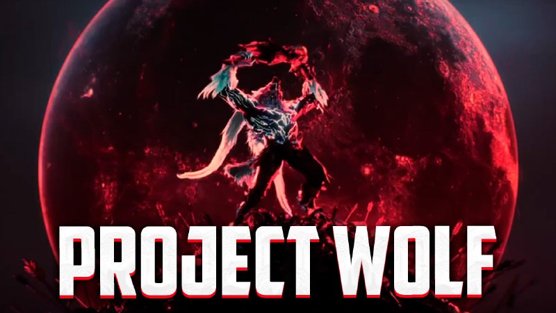 Project Wolf / НОВЫЙ КЛАСС / …