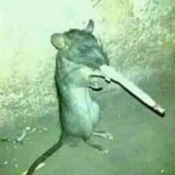 New Rat removal channel