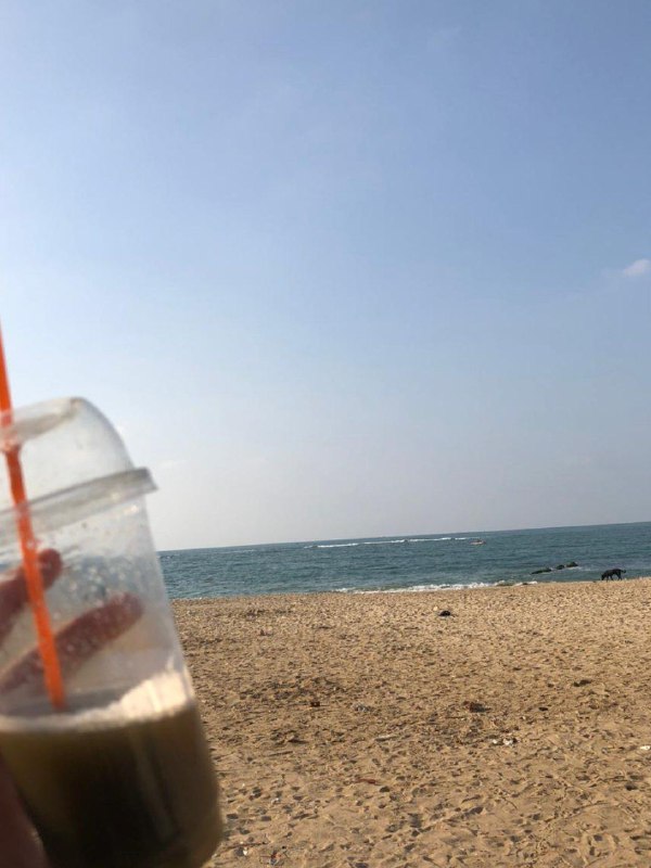 سُمية عرابي.