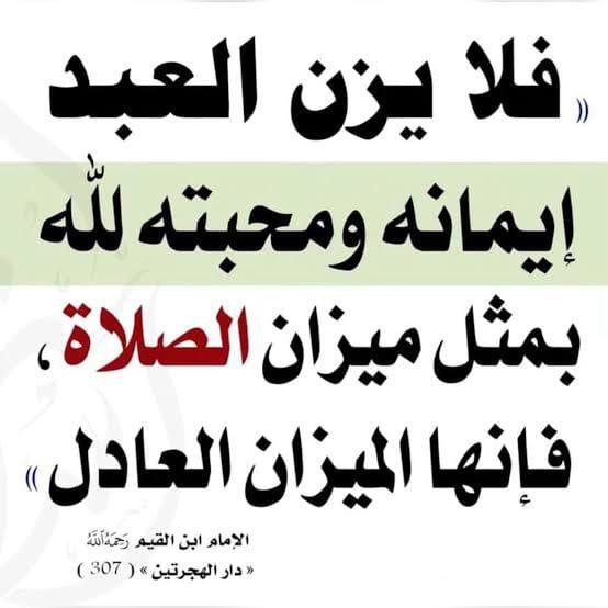 السنة سفينة نوح
