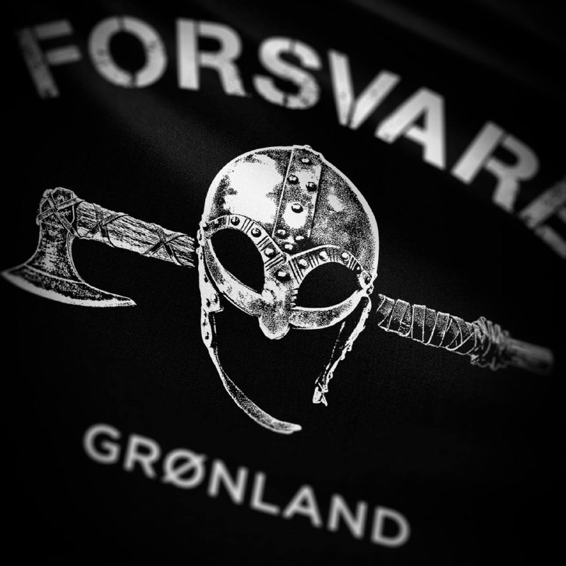 🇩🇰 SØNNER AF VINDEN 🇩🇰