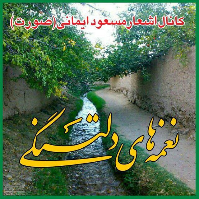 *****?***۲۵ دی آغاز هشتمین سال فعالیت** …