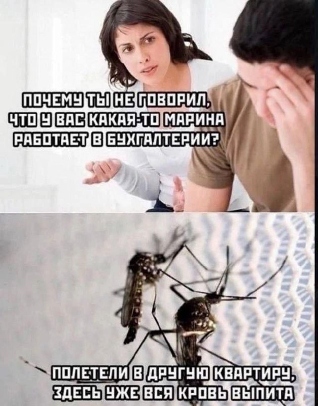 Мемы в студию ***🥱***