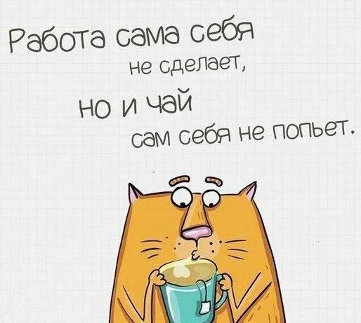 ***☕️*** Я не верю в лень. …