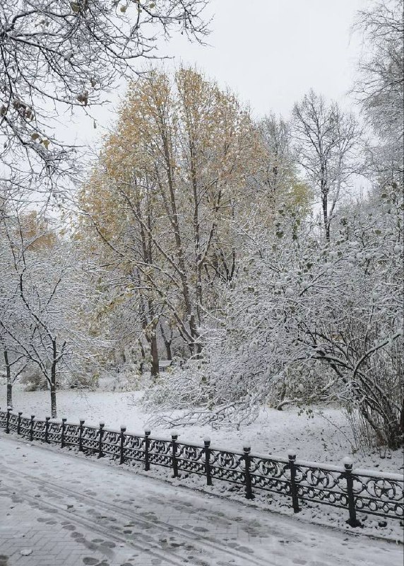 СОСЕДИ Алексеевский